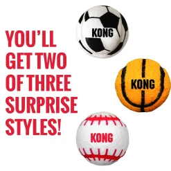Kong Sport Ball Large 2pk