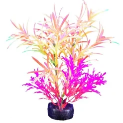 Marina iGlo Plant - 5.5" - Orange/Yellow/Pink