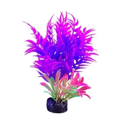 Marina iGlo Plant - 5.5" - Pink/Purple