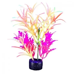 Marina iGlo Plant - 7.5" - Yellow/Purple