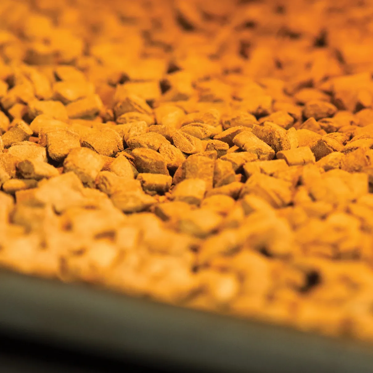 Nibbly Cat Treats Salmon 90g