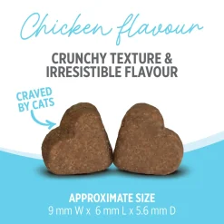 Nutrience Care Supplement for Cats Calming 180g