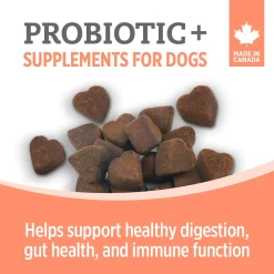 Nutrience Care Supplement for Dogs Probiotic+ 100 soft chews 400g