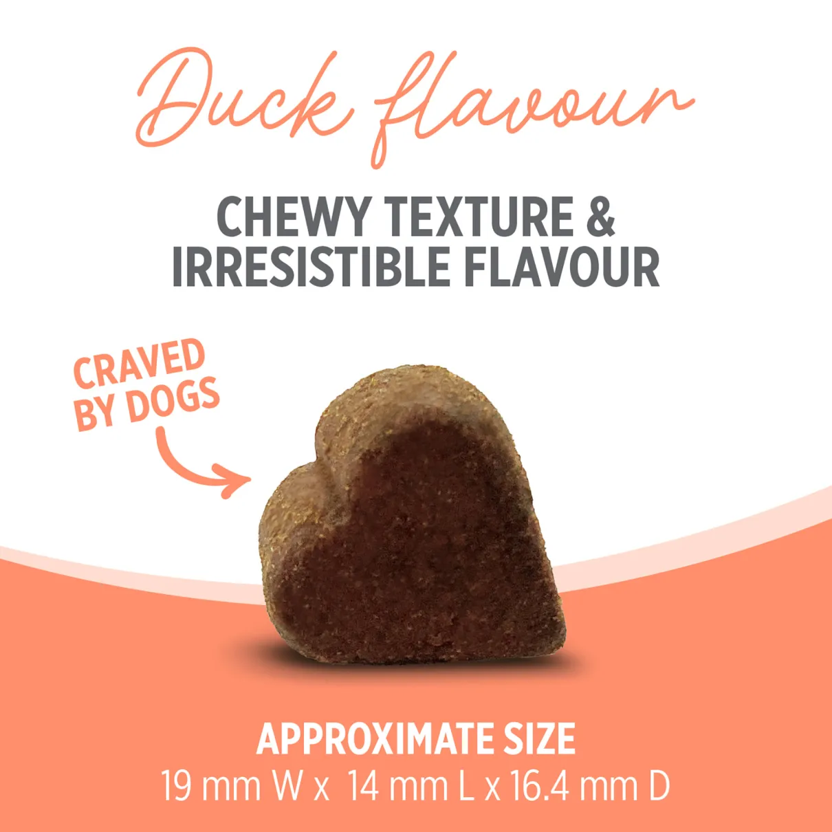 Nutrience Care Supplement for Dogs Probiotic+ 100 soft chews 400g