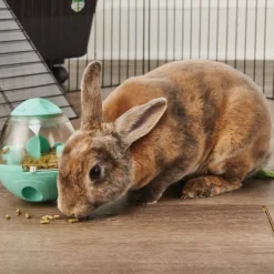 Oxbow Enriched Life Wobble Teaser