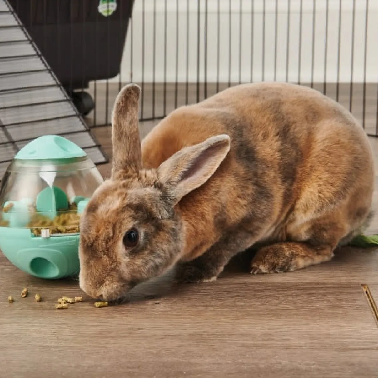 Oxbow Enriched Life Wobble Teaser