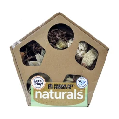 PH Naturals Pentagon Forage N Play Box Large