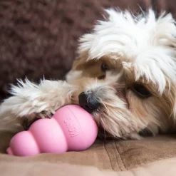 Puppy Kong Small