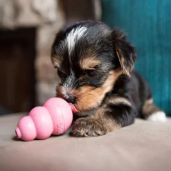 Puppy Kong X-Small