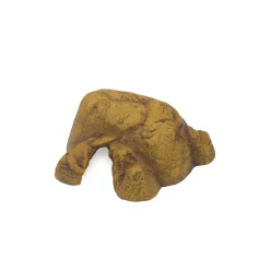 Reptile Cave - Medium