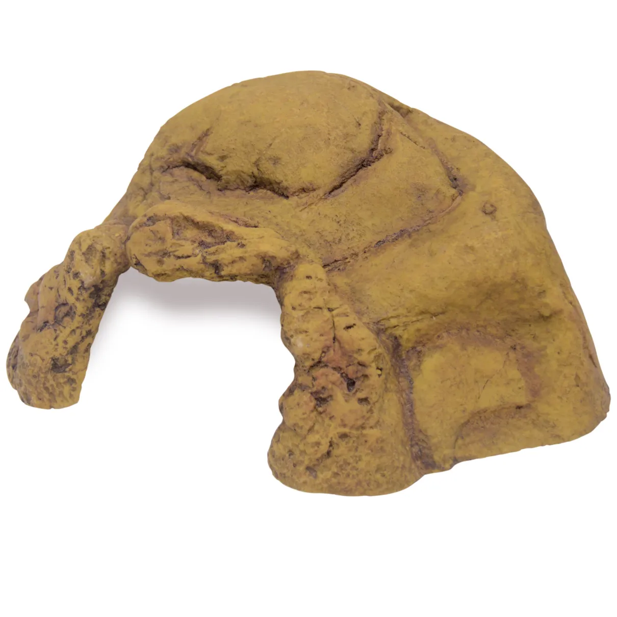 Reptile Cave - XX-Large