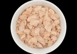 Tiki Cat Wild Salmon in Salmon Consomme Wet Cat Food 2.8oz