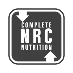 Turkey Dinner Carton 4lb