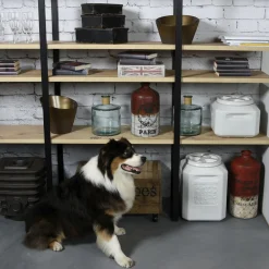 Vittles Vault Food Storage Container 35lb - 12x12x13.25in