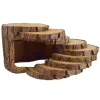 Wood Slice Hide
