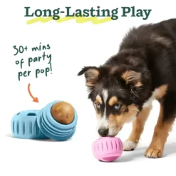 Woof Birthday Pops Small