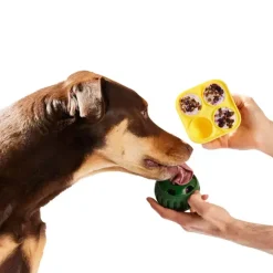 Woof Pupsicle Treat Tray Small