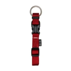 Zeus Adjustable Nylon Dog Collar