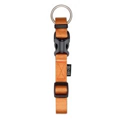 Zeus Adjustable Nylon Dog Collar
