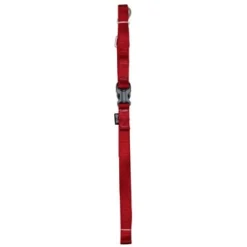 Zeus Nylon Leash With Handle Buckle